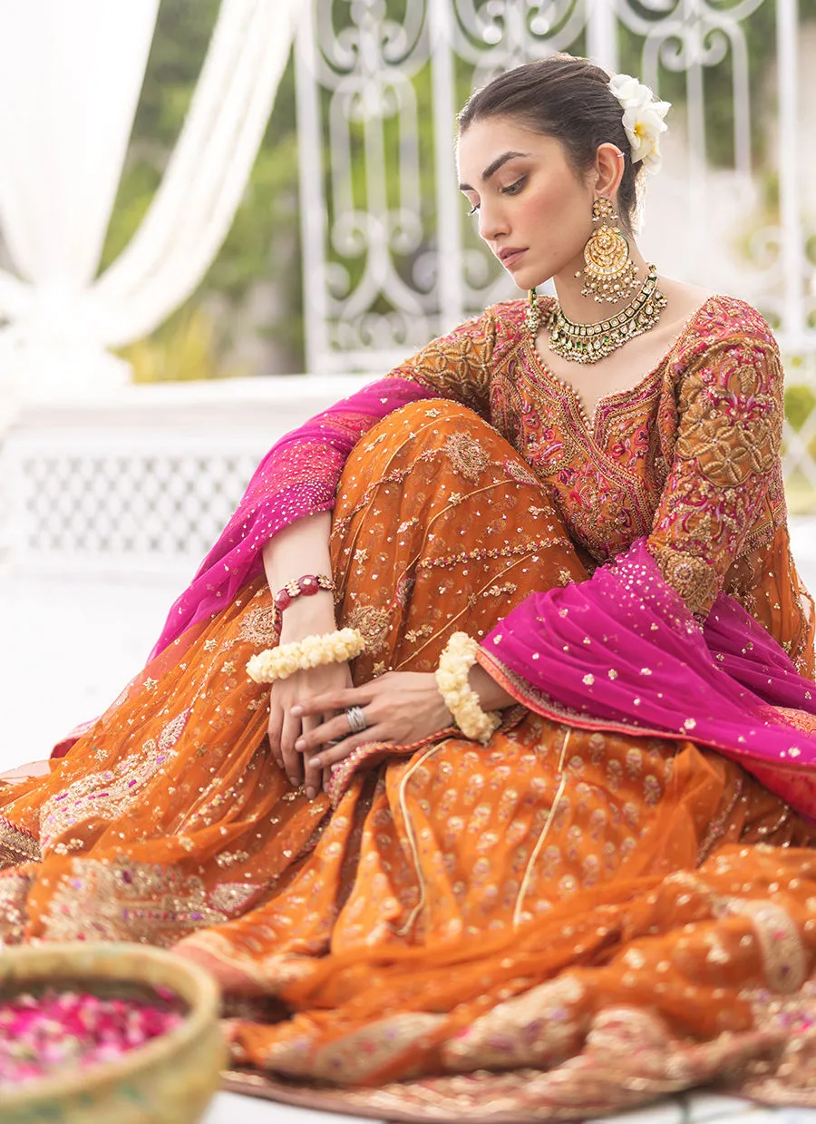 Azeeta Festive Couture - Azadeh Burnt Orange Kalidaar