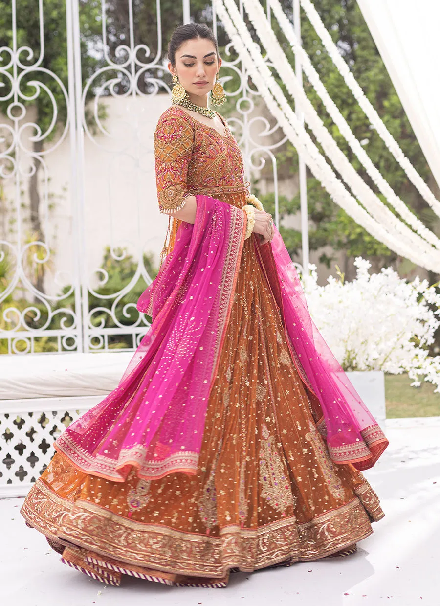 Azeeta Festive Couture - Azadeh Burnt Orange Kalidaar