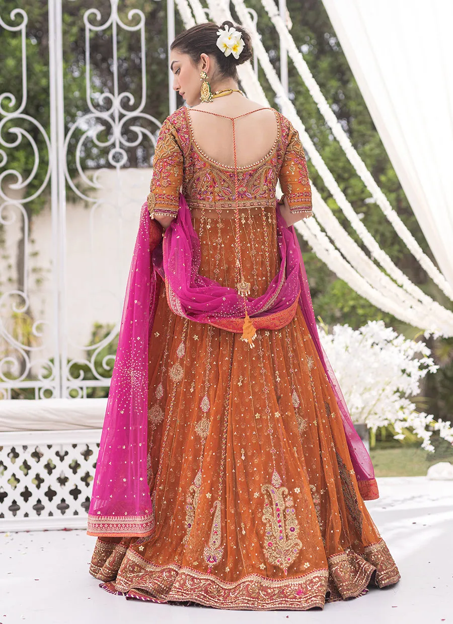 Azeeta Festive Couture - Azadeh Burnt Orange Kalidaar