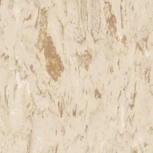 Beige Expressions