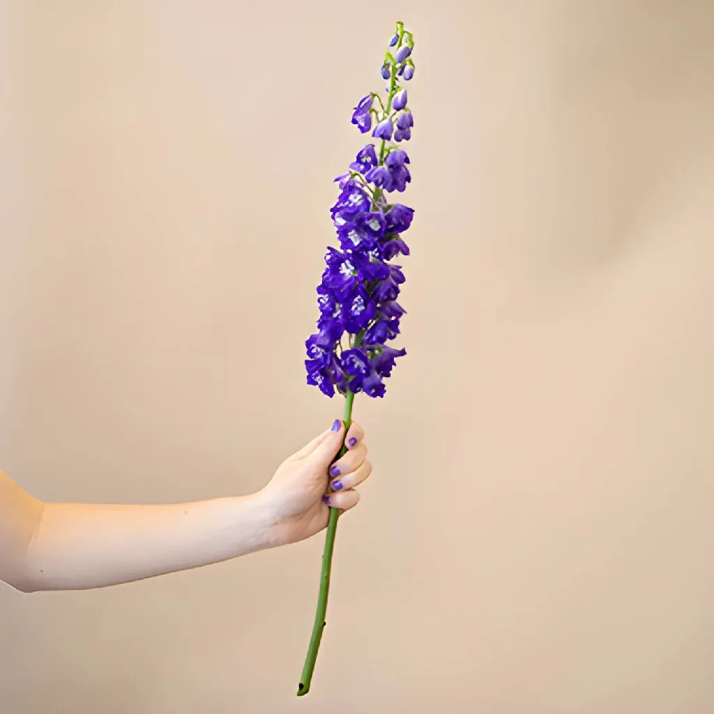 Deep Ocean Purple Blue Delphinium Flower