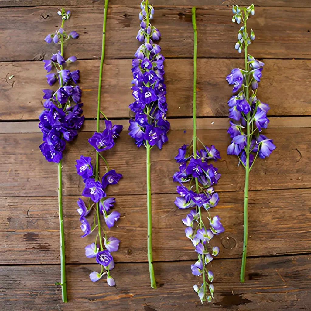 Deep Ocean Purple Blue Delphinium Flower