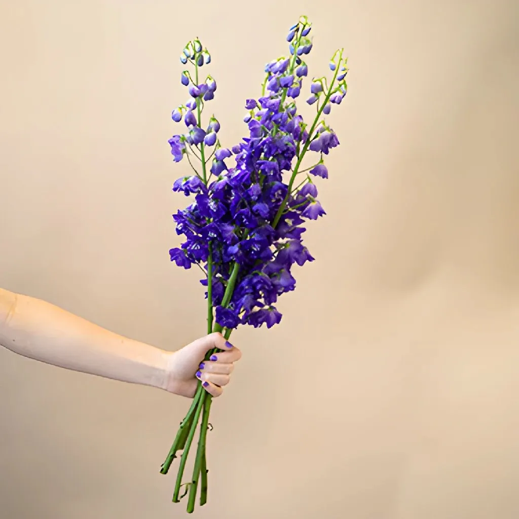 Deep Ocean Purple Blue Delphinium Flower