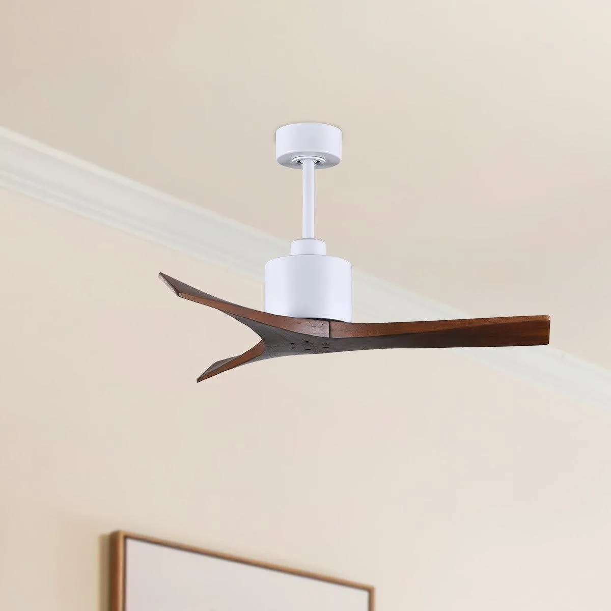 Mollywood 42" Ceiling Fan