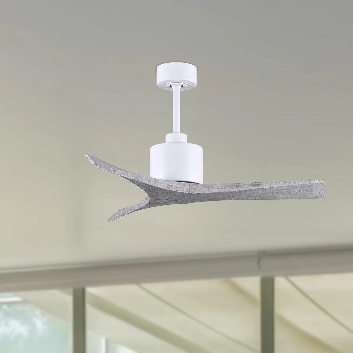 Mollywood 42" Ceiling Fan