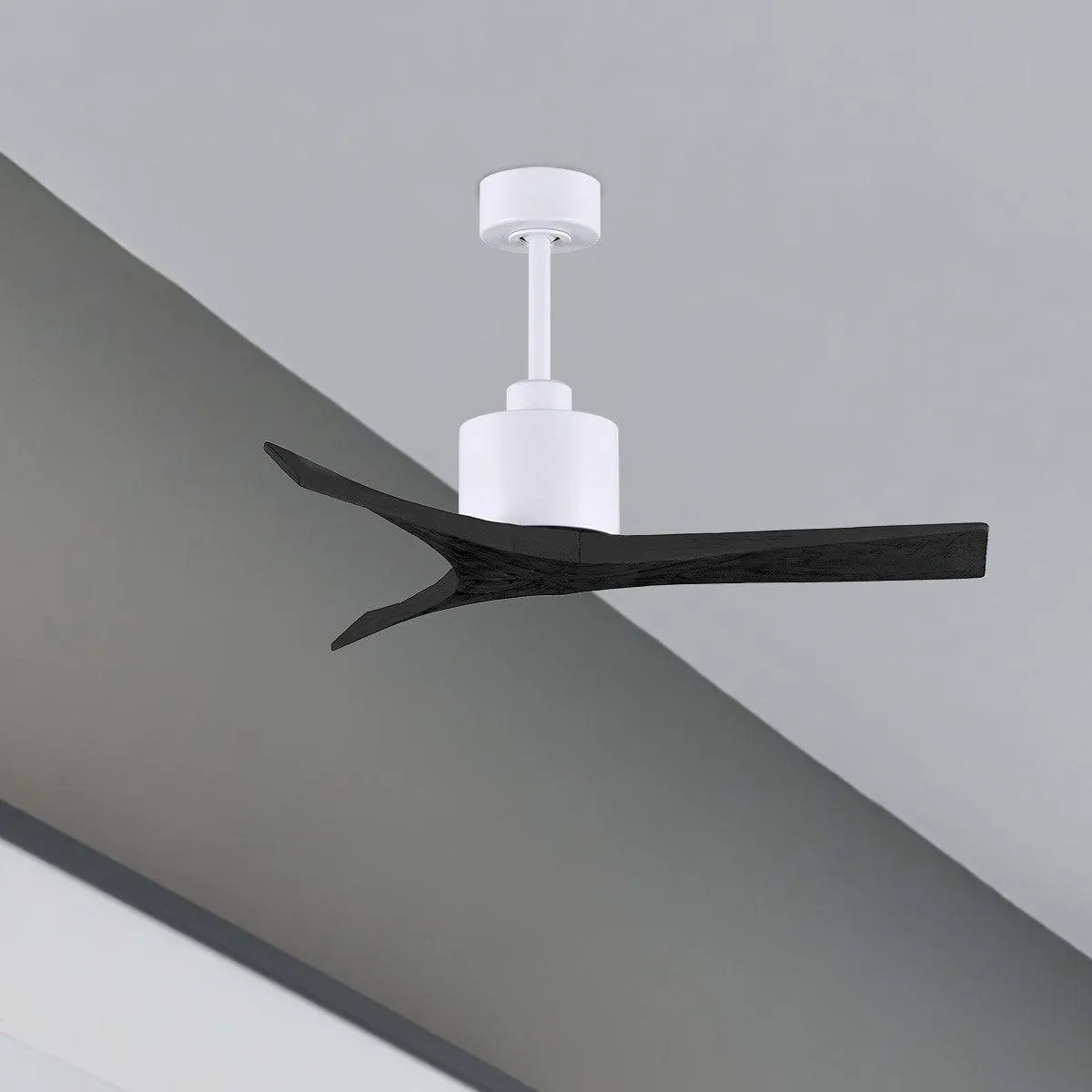 Mollywood 42" Ceiling Fan