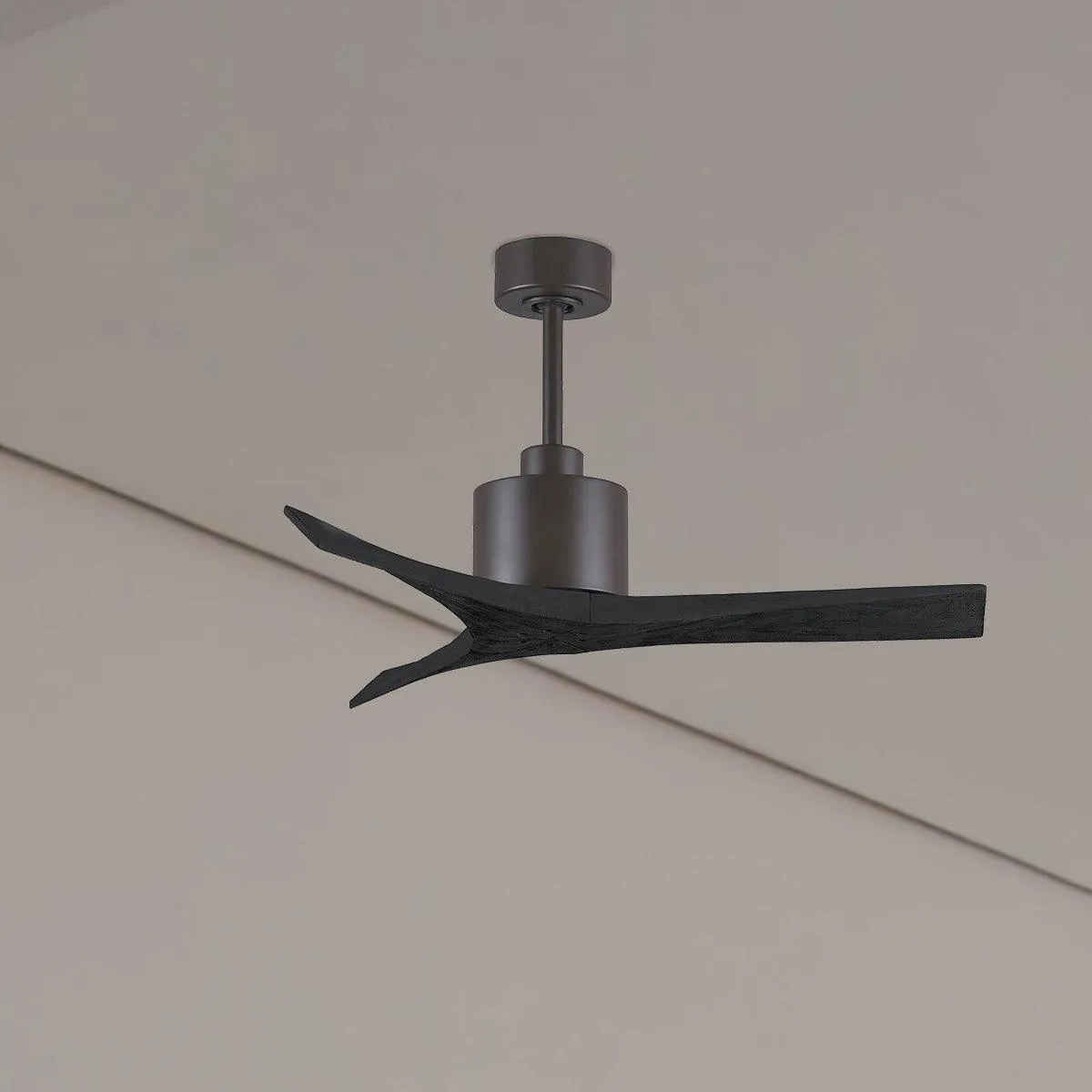 Mollywood 42" Ceiling Fan