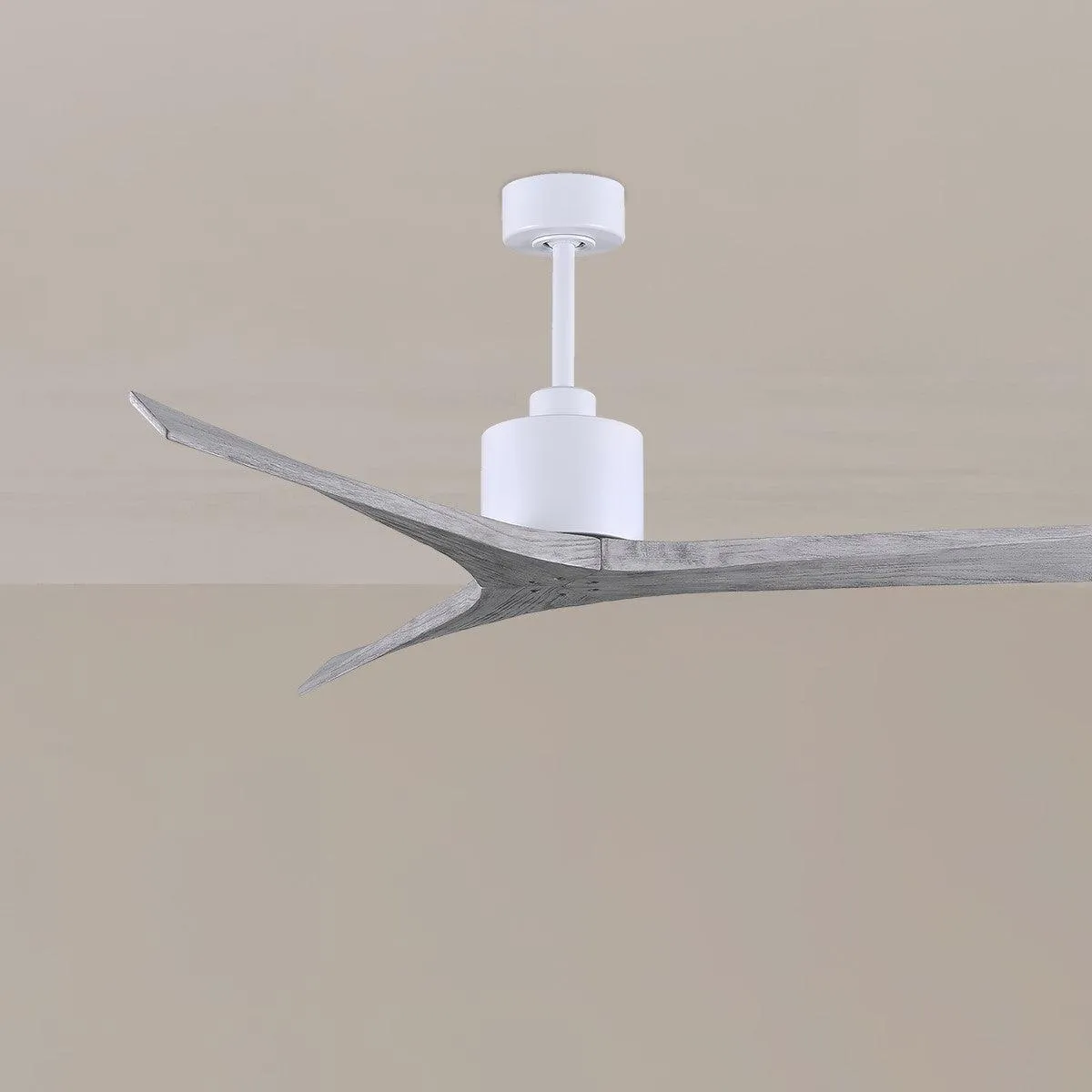 Mollywood 60" Ceiling Fan