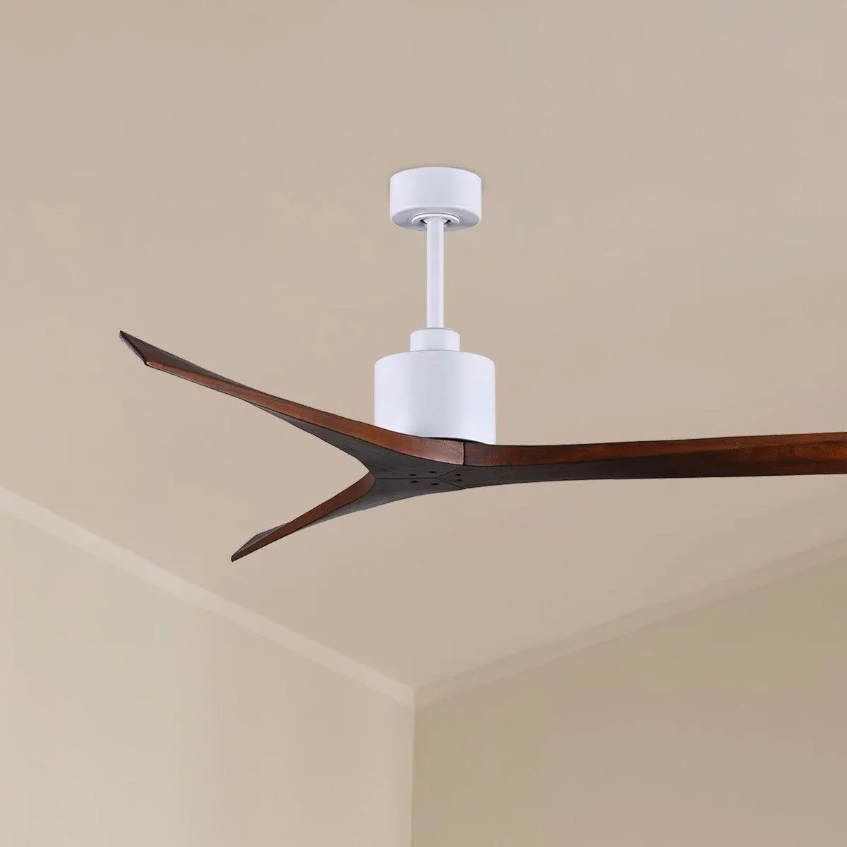 Mollywood 60" Ceiling Fan