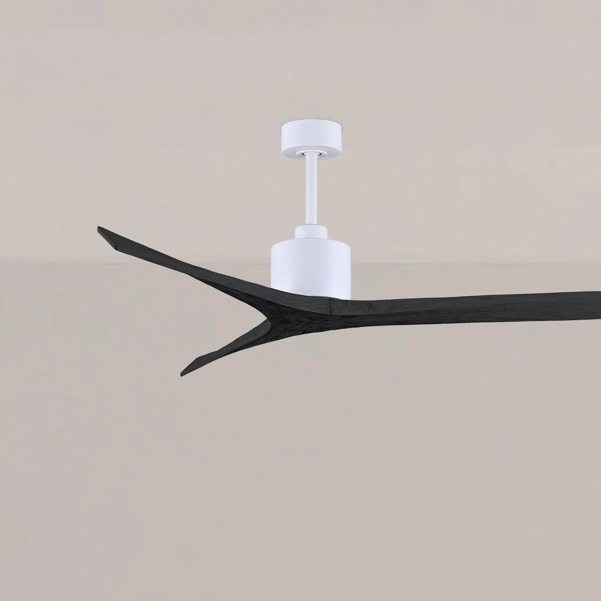 Mollywood 60" Ceiling Fan