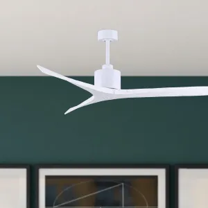 Mollywood 60" Ceiling Fan