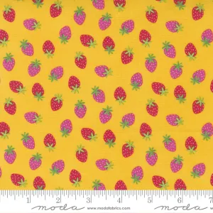 Rainbow Garden - Abbi Hall - Strawberries in Sunshine END OF BOLT