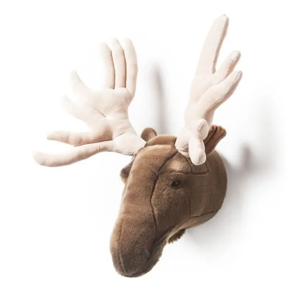 Wild & Soft Animal Head – Moose Alfred